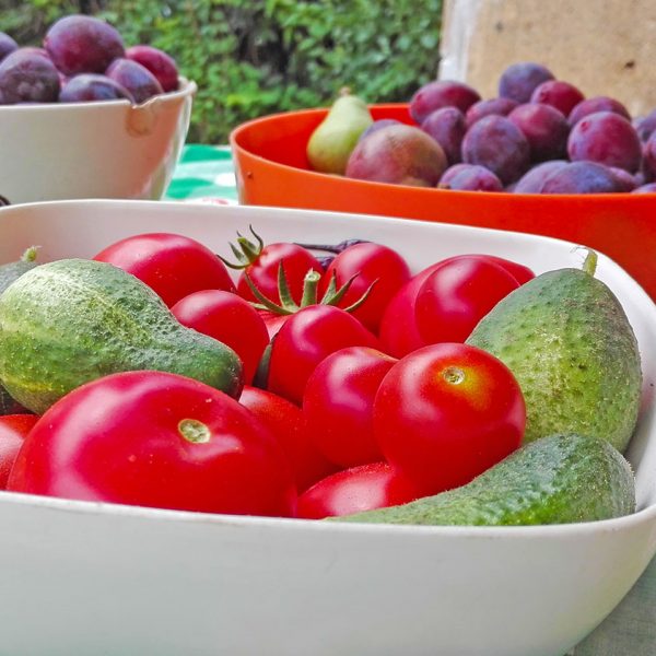 gardening-vegetables-fruits